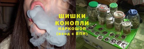 хмурый Ельня
