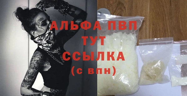 амф Елизово