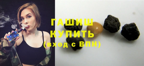 хмурый Ельня