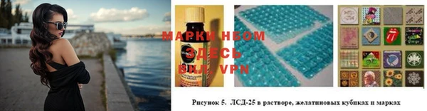 амф Елизово