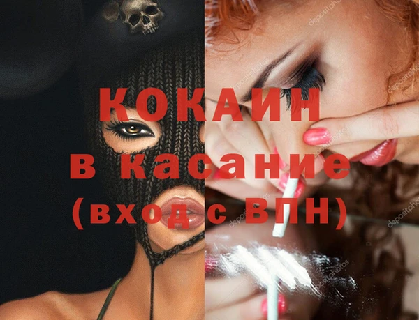 хмурый Ельня