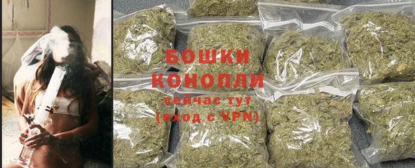 хмурый Ельня