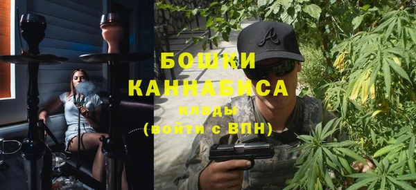 хмурый Ельня