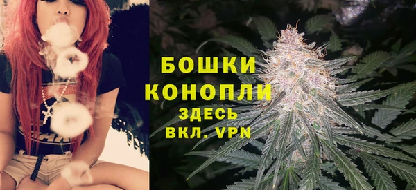 амф Елизово
