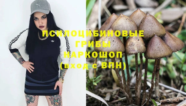 амф Елизово