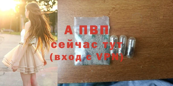 хмурый Ельня