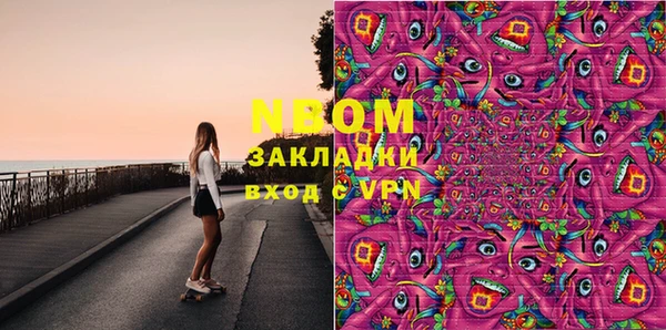 хмурый Ельня