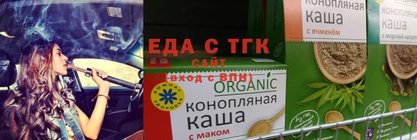 хмурый Ельня