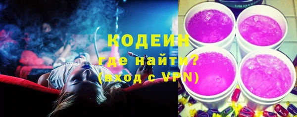 хмурый Ельня