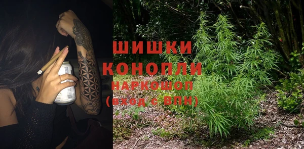 хмурый Ельня