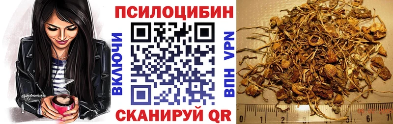 Псилоцибиновые грибы Cubensis  hydra рабочий сайт  Судогда 